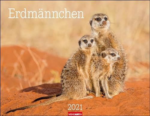 Erdmännchen Kalender 2021