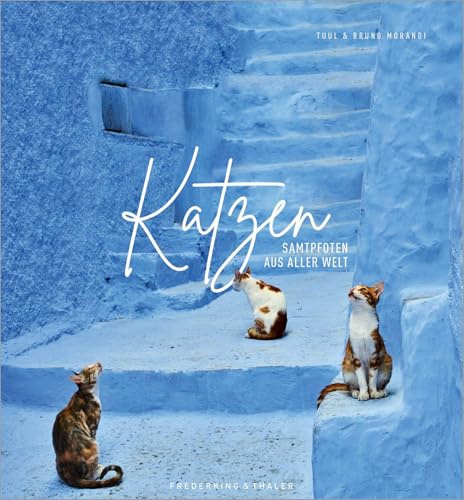 Bildband: Katzen - Samtpfoten aus aller Welt. Fantastische Fotografien untermalt mit poetischen Zitaten. Ein Muss für alle Katzenliebhaber! Mit Infos ... Katzen und ihrer weltweiten Verbreitung .