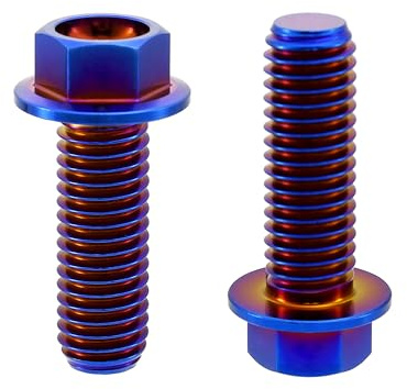 RISON-Titanium Sechskantschrauben mit Flansch M10x1.25x25mm, 5 Stück Titanschrauben Sechskant Kopf Schrauben, Flanschschrauben Titanbolzen Maschinenschrauben für Motorrad, Fahrrad Modifikation