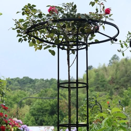 Treillis de jardin blanc pour plantes grimpantes - Antirouille - Parapluie vertical - Glycine - Support d'extérieur pour fleurs de vigne et de roses - 90 cm