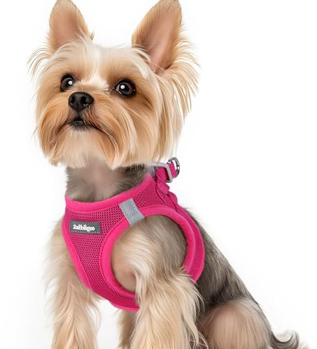 rabbitgoo Arnes Perro Pequeño Rosa Rojo XS, Arnés Antitirones para Perros Ajustable Fácil de Poner, Arnes Cachorro de Malla Suave Transpirable, Chaleco Reflectante para Perro Pequeño y Mediano