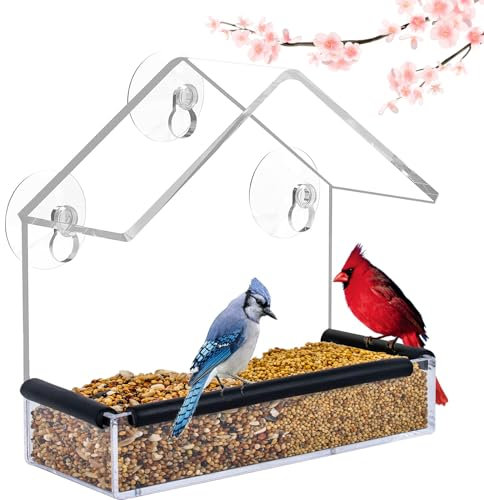 Fenster-Vogelfutterstation für Außenansicht – Klares Fenster montierte Vogelfutterspender mit starken Saugnäpfen Acrylglas kleines Vogelhaus Eichhörnchensicher mit Stangenbeobachtung Geschenke für