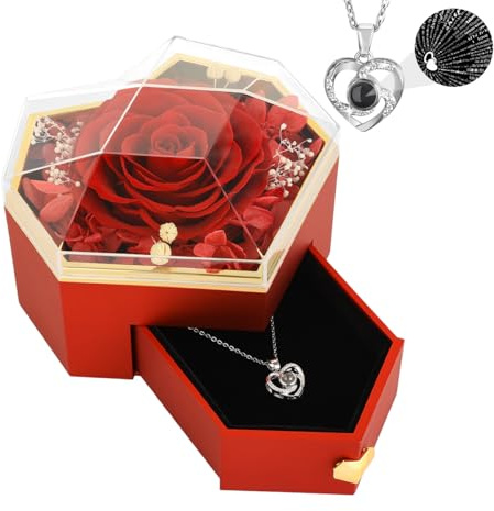 Emibele Preserved Real Rose with Heart Necklace, Eternal Flowers Rose Box with I Love You Necklace 100 Languages, Preserved Rose Jewelry Gift for Mom Women Her Wife Mother Valentine Day Grandma, Red