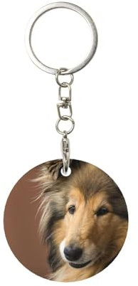 XDVPALNE Langhaarcollie, Lassie-Hunde, große, flauschige Hunde, Haustiere, Runder Metall-Schlüsselanhänger, Metall-Schlüsselanhänger, Schlüsselanhänger, Ringhalter, Organizer, 1 Stk