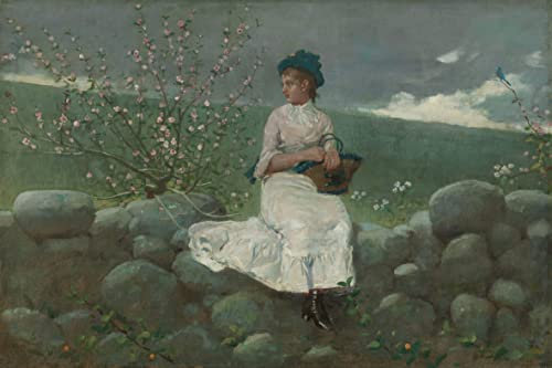 RZHRHJES Poster su Tela Quadri Ad Olio su Tela Stampe da Parete Per Quadri Fiori di pesco di Winslow Homer per la Decorazione Della Parete 60x90cm