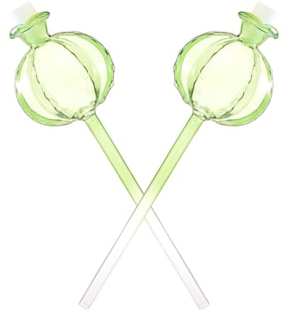 VICASKY 2pièces Lot de Globes Arrosage Verre Automatiques pour Plantes Arroseurs Forme De Cactus Mignon