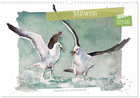 Möwen - Aquarelle von Julia Pasinski (Wandkalender 2026 DIN A3 quer), CALVENDO Monatskalender: Zwölf Möwenmotive begleiten Sie durch das Jahr (CALVENDO Kunst)