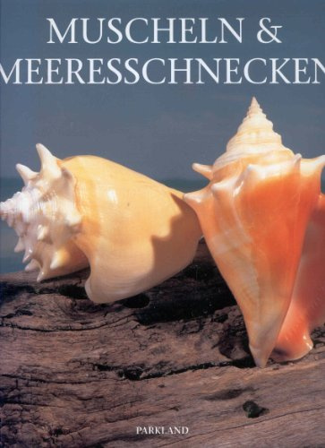 Muscheln und Meeresschnecken