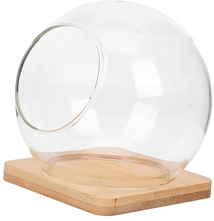 TOYANDONA 1 Satz Doppelte Flasche Terrarienglas Kakteen Terrarium Blumentopf hochzeitsdeko transparente Mikrolandschaftsflasche hydroponischer terrariumbehälter hölzern