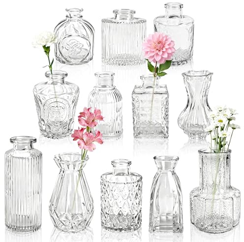 BTSD-home 12 Stück Kleine Vasen Set zur Home Hochzeit Tisch Deko | Glatt polierter Flaschenrand Mehrere Größen kombinierbar Kompaktes platzsparendes Format Für einzelne Blumenstiele