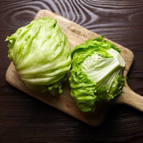 Semi di lattuga iceberg biologici, semi di invernali resistenti per il giardino vecchi semi per aiuole rialzate perenni 300pcs