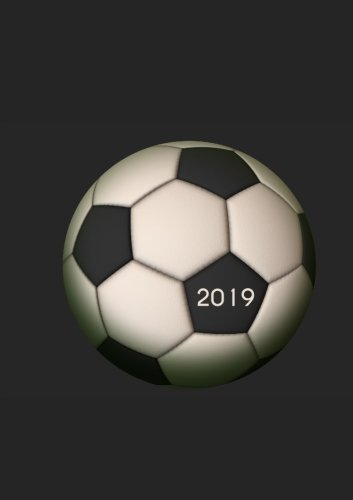 Wochenkalender 2019 - Fussball - DIN A5 - schwazr