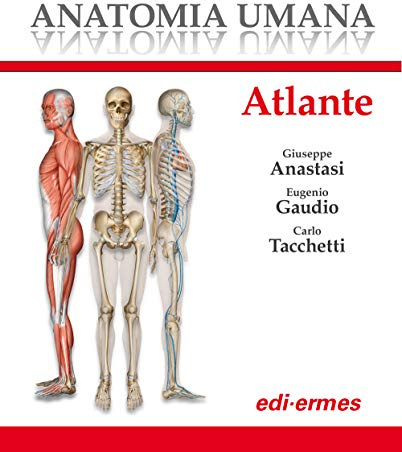 Anatomia umana. Atlante