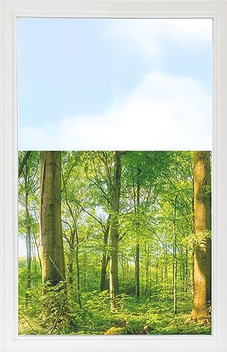 GRAZDesign Fensterfolie Blickdicht Sichtschutz, Sichtschutzfolie Fenster, Glastüren, Duschkabine, Milchglasfolie Bedruckt mit Motiv Wald 60x57cm