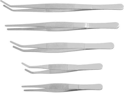 Toyvian Stainless Steel Gardening Tweezers Set, 5Pcs Professional Precision Succulent Tools for Seedling Transplanting Weeding Pruning Rust-Resistant Long Tweezers for Indoor Plants Terrariums