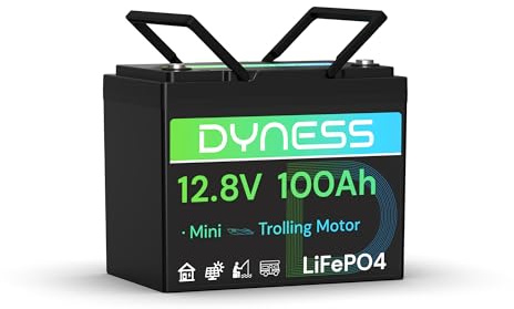 Dyness Batterie Lithium 12V 100Ah LiFePO4 Mini avec Protection 100A BMS Basse température et Max 15000 Cycles, pour Camping Car, kit Panneau Solaire, Caravane, Bateau, Marine
