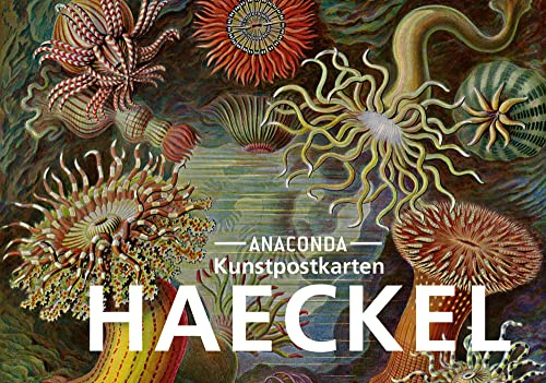 Postkarten-Set Ernst Haeckel: 18 Kunstpostkarten aus hochwertigem Karton. ca. 0,28€ pro Karte (Anaconda Postkarten, Band 30)