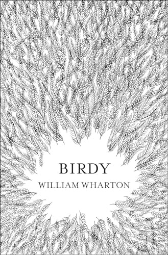 Birdy: A Gripping WWII Historical Fiction Novel of War and Lasting Friendship