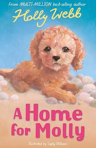 A Home for Molly: 31 (Holly Webb Animal Stories, 31)