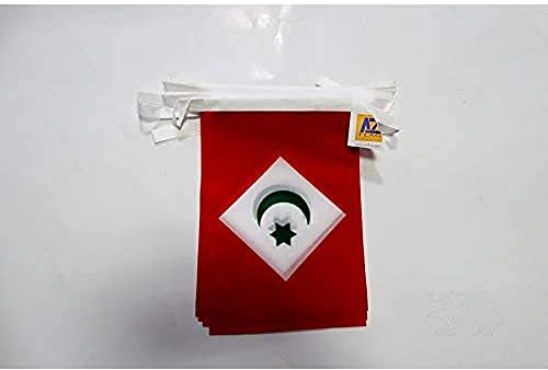 AZ FLAG Wimpelkette Rif-Republik 6 m 20 Flaggen Leichtes Polyester 21x15 cm | Für innen und außen Rif in Marokko Flaggenkette Flaggen auf verstärktem Band vernäht