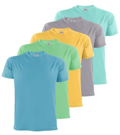 ALPIDEX Camiseta Hombre S-5XL Pack 5 Básica Manga Corta 100% Algodón | 175 g/m2, Manga Corta, Corte Regular, OEKO-TEX, Transpirable, Lavable Máquina, Casual, Deporte, Trabajo, Básica