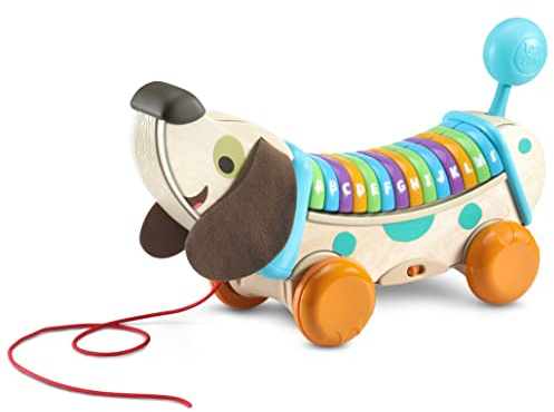 VTech VTech-80-615222 Eco Perrito Infantil Paseos, Descubre Letras y Canciones, Juguete de Arrastre para bebés +12 Meses, versión española, Multicolor, único (80-615222)