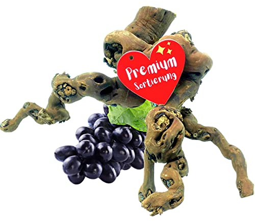 Vogelgaleria® Weinrebe Wurzel für Terrarium - extra handverlesene Unikate, schonend gereinigt & holzwurmfrei - Terrarium Deko f. Schlangen, Gecko, Schildkröten