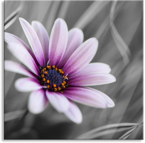 Pixxprint Glasbild, Wandbild auf Echtglas, Blume in der Natur, 50x50 cm, inkl. Aufhängung und Abstandshalter