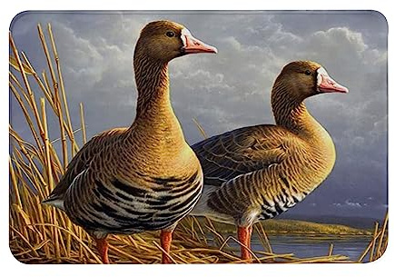 ERICAT Mat 40x60cm,Non-Slip Bathroom Mat Machine-Washable,Wildlife Ducks Animal Bird Wild Goose in The Fall Reeds Autumn View,Ultra Soft and Water Absorbent Bath Rug for Bathroom,Tub and Shower