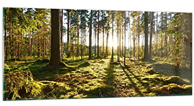 ARTTOR Bilder auf Glas 120x50cm Wandbild Glasdruck Landschaften Wald - 3724 | Baum Natur Panorama Groß Modern Dekoration Wohnzimmer Schlafzimmer Küche Wanddeko Kunstdruck Art Wall Decor ARTTOR