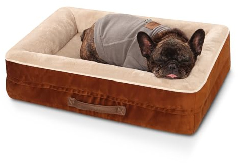 Upvilla Orthopädisches Hundebett mittelgroße Hunde, Hundekorb Waschbar | mit Eierförmiger Kistenschaum，Wasserdicht Hundesofa mit rutschfeste Unterseite und Vierseitiges Kissen (Braun, L61xB46xH15cm)