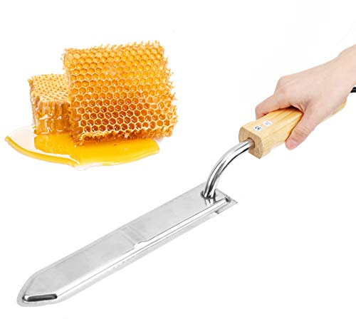 Coltello per disopercolare il elettrico, Attrezzatura per estrattore di, Strumento per l'apicoltura in acciaio inossidabile per estrattore di, Raschietto per, Utensili per tagl