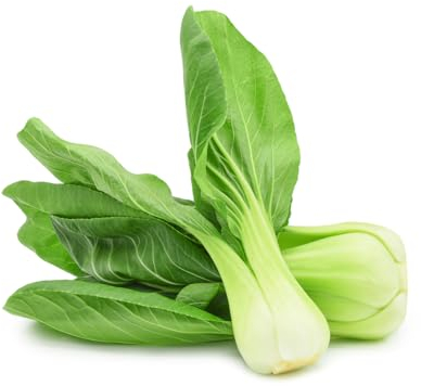 1000 Samen Pak Choi Chinesischer Senfkohl Brassica rapa für Balkon und Garten