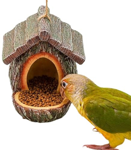 Mangeoire pour oiseaux | Mangeoire à oiseaux avec design ouvert pour l'alimentation des oiseaux | Distributeur de nourriture décoratif pour oiseaux – Pour l'observation des écureuils sur la fenêtre