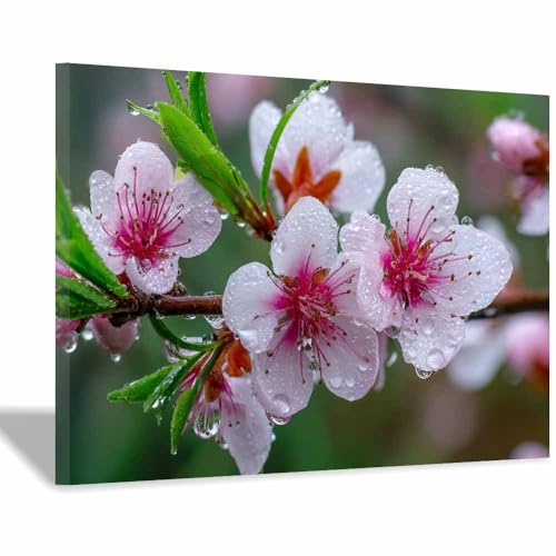 HUYEEI Quadro su tela con paesaggio naturale Ramo di pesco in fiore decorazione murale moderna per camera da letto, ufficio, soggiorno, corridoio, aula(bianco e nero152)-20x30cm Incorniciato