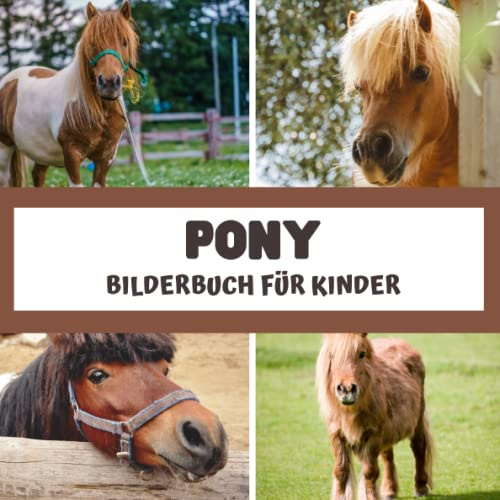 Bilderbuch für Kinder - Pony: Ponys in Bildern entdecken - Kinder von 2 bis 5 Jahren
