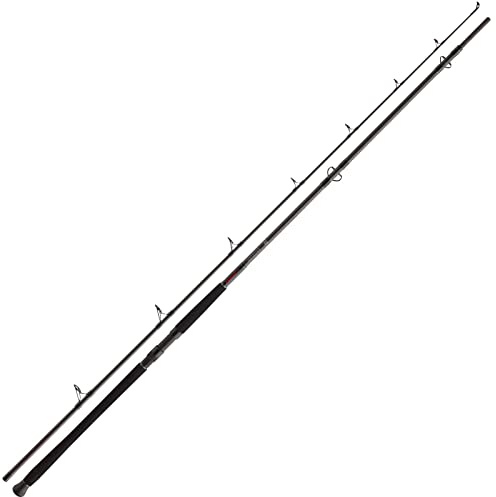 Daiwa Exceler CF Boje 3.30m 200-600g Wallerrute