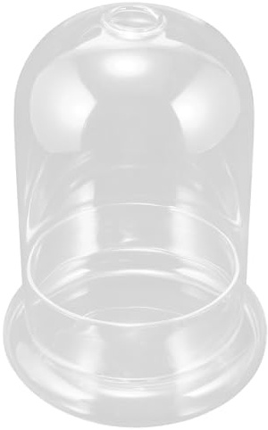 Homoyoyo Dôme en Verre Transparent avec Socle 15x20cm pour Fleurs Durables Décoration Intérieure Jardin Terrasse Élégant Protecteur Micro-Paysage Showcase