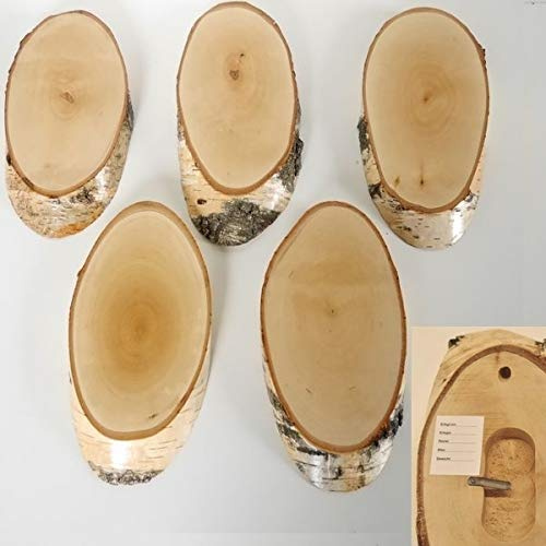 5 Stück Birke Schilder Trophäenschilder REH Rehbock Geweih Baumscheibe Baumschild Natur Holz modern mit Kieferfach