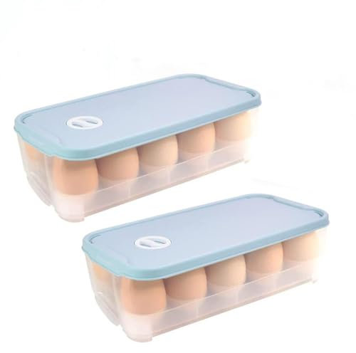 KNGNGK 2PCS Hueveras de Plástico para Frigorífico, 24.5 x 12 x 7cm Caja de Almacenamiento de Huevos con Tapa para 10 Huevos, Contenedor de Huevos Apilable para Refrigerador Gabinetes de Cocina