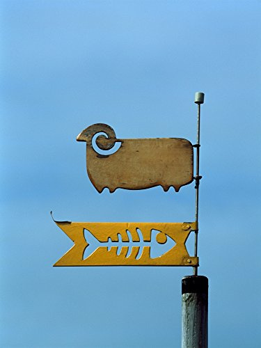Low angle view of weather vane Poster Print by Panoramic Images (36 x 24)