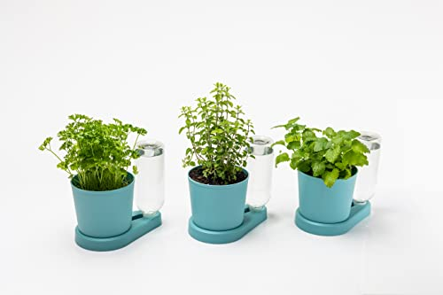 greevi kräuterheld 3er Set | Kräutertöpfe mit Selbstbewässerungssystem | Made in Germany | Kunststoff (Standard, türkis)