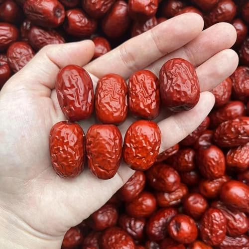 Semillas Resistentes de Palmera datilera decoración de Sala de Estar de azufaifo, para Lugares soleados, variedades 20pcs