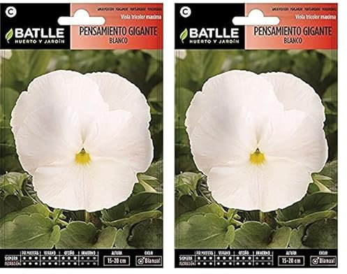 Semillas Batlle Pensamiento Gigante BLANCO (Paquete de 2)