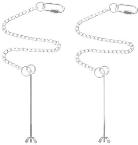 Didiseaon 2 pièces Brochette de Fruits Acier Inoxydable pour Perroquets Mangeoire Suspendue avec Chaîne Support de Nourriture pour Oiseaux Dextérieur et Animaux Cage
