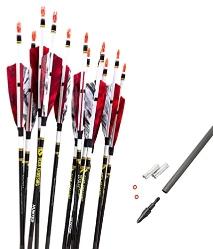 ACCMOS 12 St Spine 800 Jagdpfeile ID 6,2 mm Kohlenstoffpfeil für Erwachsene Jugend Jagd oder Schießübungen (28inch, RSpine 800 12pc)