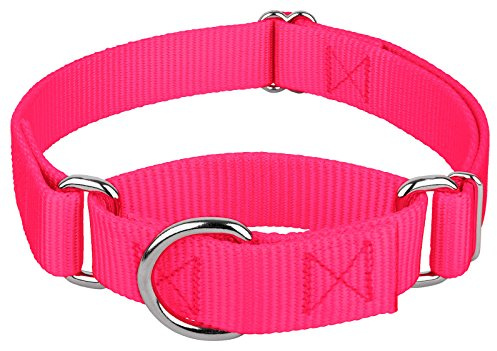 Country Brook Petz - Martingale Dog Collar - Heavy-Duty Training Collar with No Buckle - Service Dog Collar for All Pups - 10+ Warm Colors (Hot Pink, 1 Inch, Large)