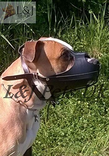 Champion /L&J Pets UK Munkorg för American Staffordshire Terrier Amstaff av äkta läder