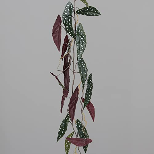 Seidenblumen Roß Forellenbegonien-Ranke 120cm DP Kunstpflanzen künstliche Pflanzen Ranken Polka-Dot Maculata