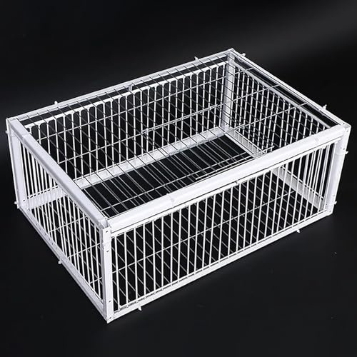 Hoixin Fallenkäfig für lebende Humaner Fallenkäfig Tiere taubenfalle mit ausbruchsicherem Design Mit Zwei Einwegeingängen Taubenfalle vogelfalle Geeignet für alle Vogelarten(70x40x26cm)